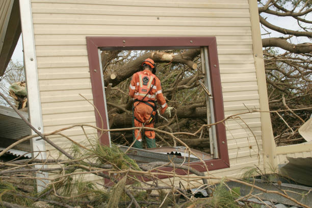 Best Tree Trimming and Pruning  in Alma, AR